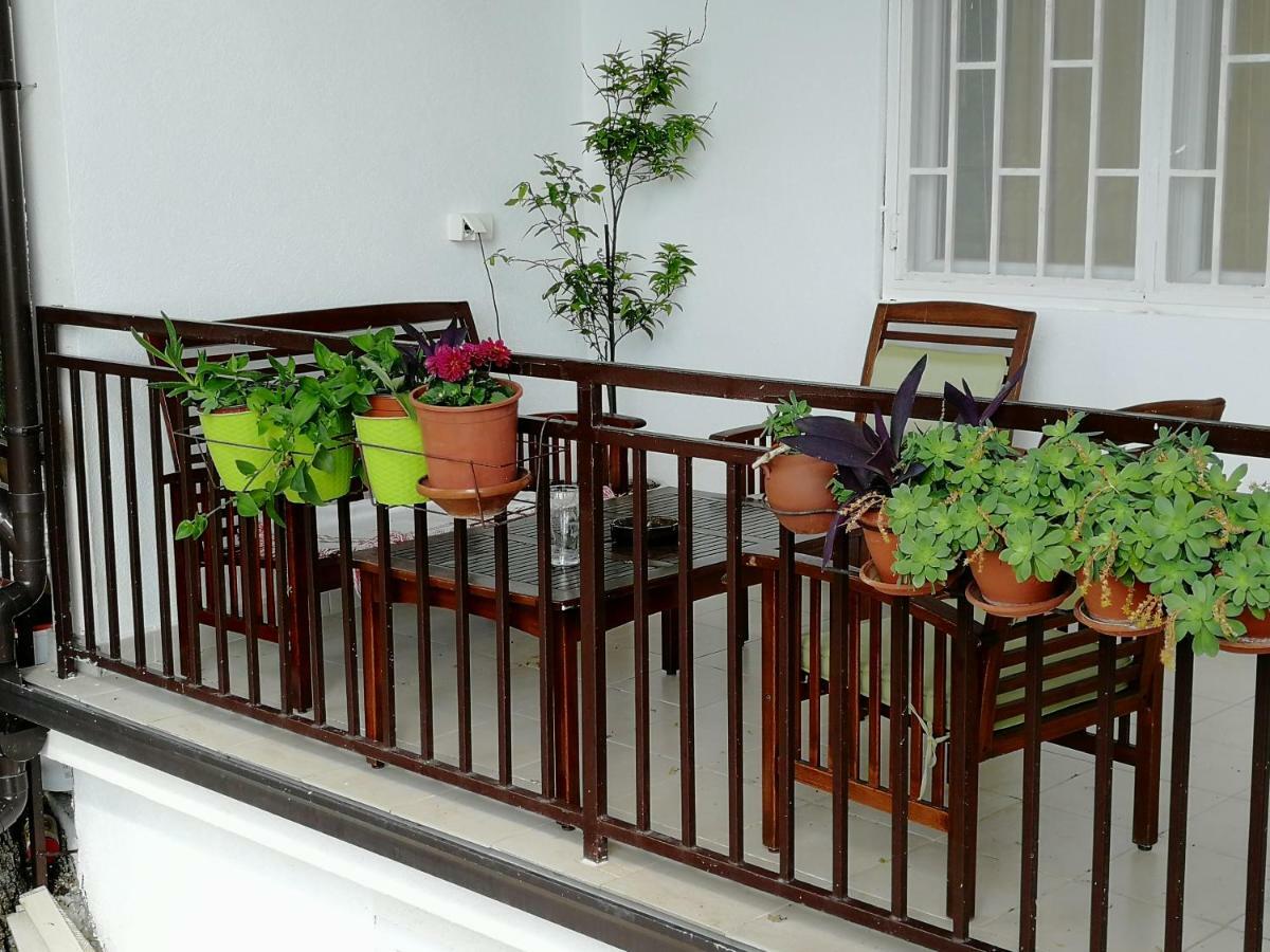 Villa Marko 苏托莫雷 外观 照片